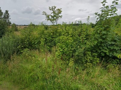 Holiday house 4 person holiday home in Ansager-By Traum - Outdoor photo 12