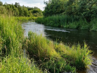 Holiday house 4 person holiday home in Ansager-By Traum - Outdoor photo 14