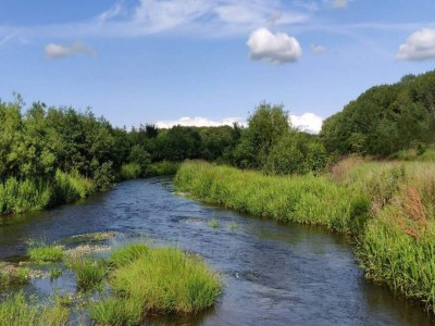 Holiday house 4 person holiday home in Ansager-By Traum - Outdoor photo 27