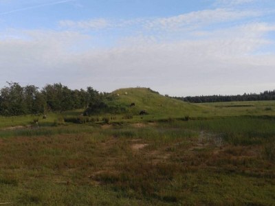 Holiday house 4 person holiday home in Ansager-By Traum - Outdoor photo 35