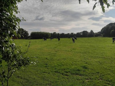 Holiday house 4 person holiday home in Ansager-By Traum - Outdoor photo 36