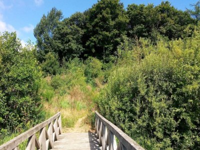 Holiday house 4 person holiday home in Ansager-By Traum - Outdoor photo 37