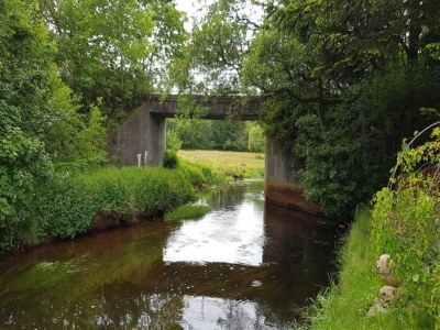 Holiday house 4 person holiday home in Ansager-By Traum - Outdoor photo 38