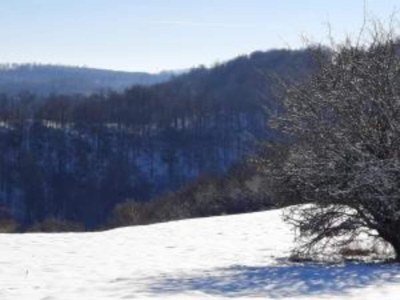 Apartment gemütliche Ferienwohnung in Cattenstedt - Environment photo 32