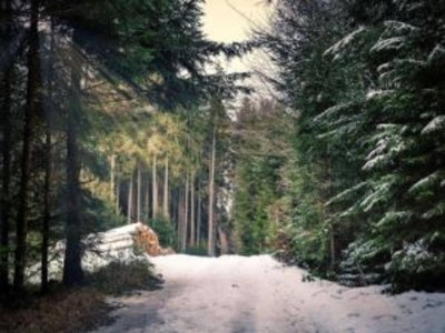 Apartment gemütliche Ferienwohnung in Cattenstedt - Environment photo 33