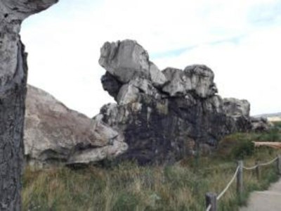 Apartment gemütliche Ferienwohnung in Cattenstedt - Environment photo 35