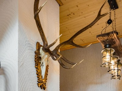 Apartment gemütliche Ferienwohnung in Cattenstedt - Outdoor photo 37