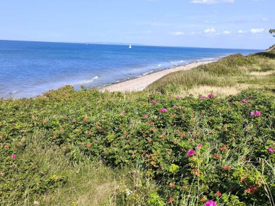 Holiday house 6 Personen Ferienhaus in Gilleleje - Outdoor photo 13