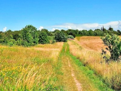 Holiday house 6 Personen Ferienhaus in Gilleleje - Outdoor photo 30
