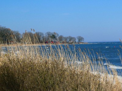 Holiday house 12 Personen Ferienhaus in Haderslev - Outdoor photo 10