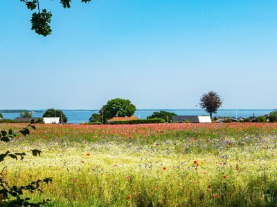Holiday house 12 Personen Ferienhaus in Haderslev - Outdoor photo 24