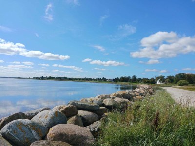 Holiday house 8 person holiday home in Storvorde - Outdoor photo 47