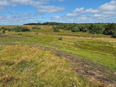 Holiday house 14 person holiday home in Vejby - Outdoor photo 22