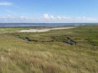 Apartment 6 person holiday home in Rømø-By Traum - Outdoor photo 35