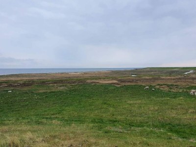 Apartment 6 person holiday home in Rømø-By Traum - Outdoor photo 39