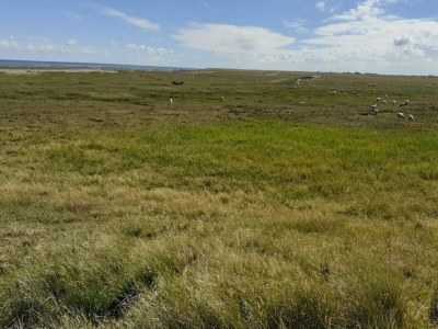 Apartment 6 person holiday home in Rømø-By Traum - Outdoor photo 43