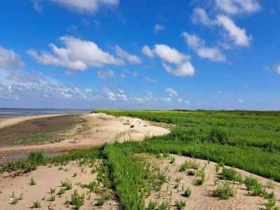 Apartment 6 person holiday home in Rømø-By Traum - Outdoor photo 46