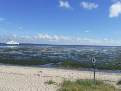 Apartment 6 person holiday home in Rømø-By Traum - Outdoor photo 48