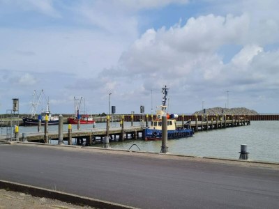 Apartment 6 person holiday home in Rømø-By Traum - Outdoor photo 50