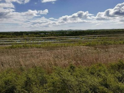 Apartment 8 Personen Ferienhaus in Storvorde - Outdoor photo 23