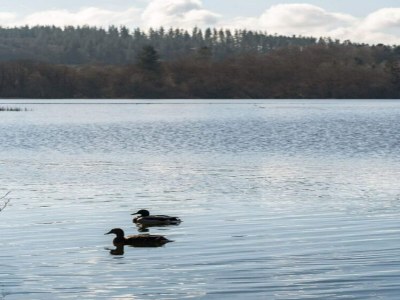 Apartment 8 Personen Ferienhaus in Storvorde - Outdoor photo 28