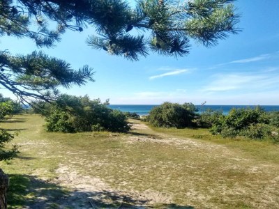 Holiday house 6 Personen Ferienhaus in Vejby-By Traum - Outdoor photo 20