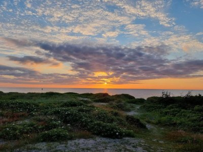 Holiday house 6 Personen Ferienhaus in Vejby-By Traum - Outdoor photo 48