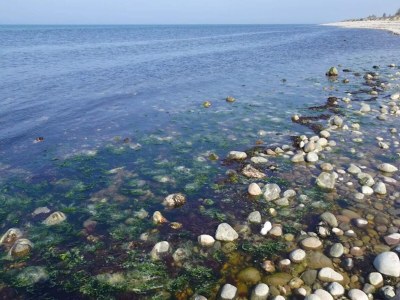 Holiday house 6 Personen Ferienhaus in Vejby-By Traum - Outdoor photo 52