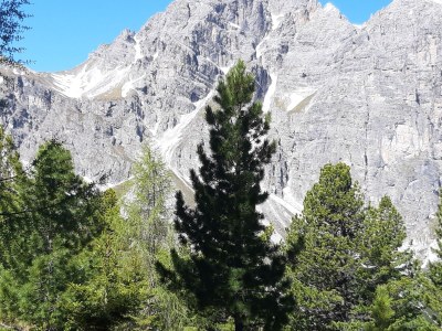 Holiday apartment Hildegard Pedevilla - Outdoor photo 12