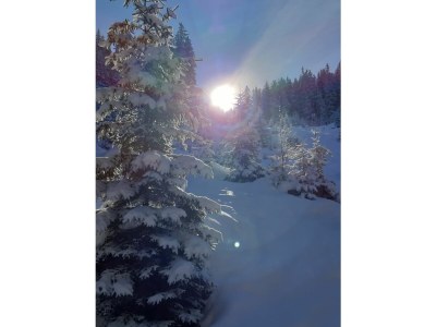 Holiday apartment Hildegard Pedevilla - Outdoor photo 13