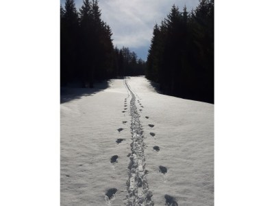 Holiday apartment Hildegard Pedevilla - Outdoor photo 16