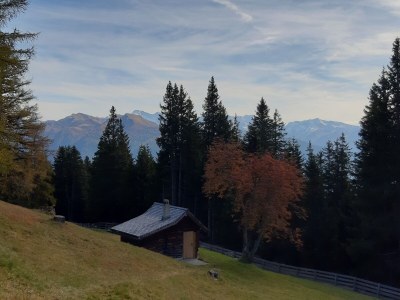 Holiday apartment Hildegard Pedevilla - Outdoor photo 17