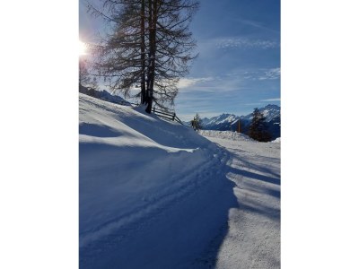 Holiday apartment Hildegard Pedevilla - Outdoor photo 20