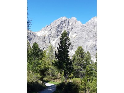 Holiday apartment Hildegard Pedevilla - Features photo 33