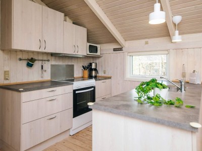 Holiday house 6 Personen Ferienhaus in Ulfborg-By Traum - Outdoor photo 21