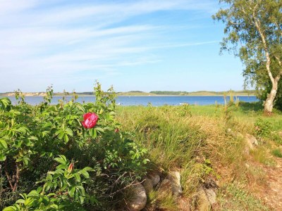 Holiday house 6 Personen Ferienhaus in Højslev-By Traum - Outdoor photo 36