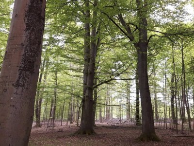 Holiday house 4 person holiday home in Frederiksværk-By Traum - Outdoor photo 7