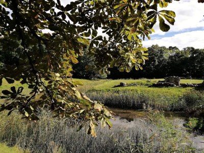 Holiday house 4 person holiday home in Frederiksværk-By Traum - Outdoor photo 17