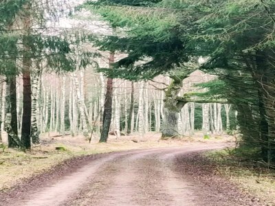 Holiday house 4 person holiday home in Frederiksværk-By Traum - Outdoor photo 18