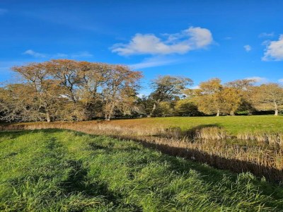 Holiday house 4 person holiday home in Frederiksværk-By Traum - Outdoor photo 23