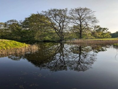 Holiday house 4 person holiday home in Frederiksværk-By Traum - Outdoor photo 27