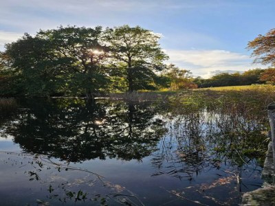 Holiday house 4 person holiday home in Frederiksværk-By Traum - Outdoor photo 30