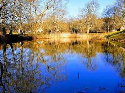 Holiday house 4 person holiday home in Frederiksværk-By Traum - Outdoor photo 31