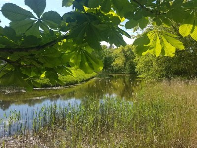 Holiday house 4 person holiday home in Frederiksværk-By Traum - Outdoor photo 32