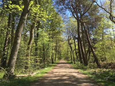 Holiday house 4 person holiday home in Frederiksværk-By Traum - Outdoor photo 33
