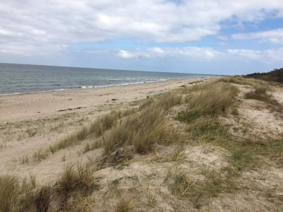 Holiday house 4 person holiday home in Frederiksværk-By Traum - Outdoor photo 36