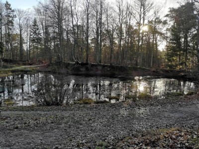 Holiday house 4 person holiday home in Frederiksværk-By Traum - Outdoor photo 37