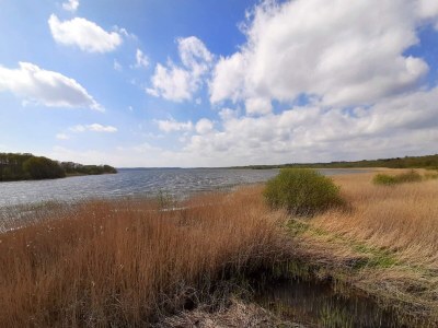 Holiday house 8 person holiday home in Ebeltoft-By Traum - Outdoor photo 29