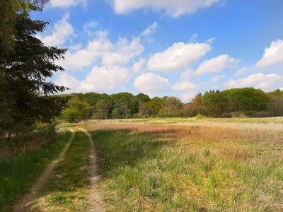 Holiday house 8 person holiday home in Ebeltoft-By Traum - Outdoor photo 30