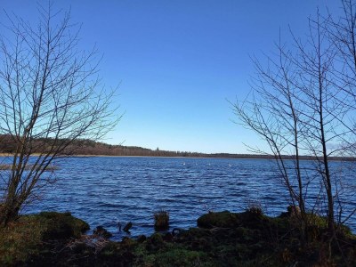 Holiday house 8 person holiday home in Ebeltoft-By Traum - Outdoor photo 31